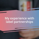 My experience with label partnerships